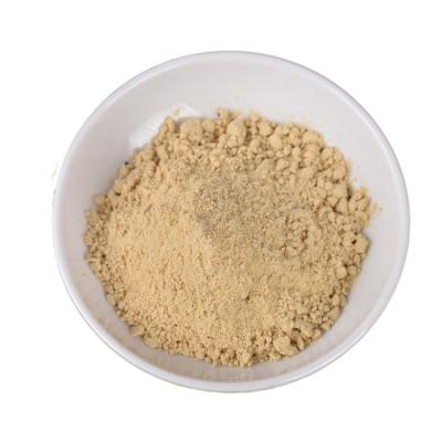 China Wholesale Factory Dry Sealed In Dry Dehydrated Dry Ginger Powder for sale