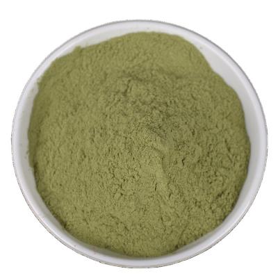 China High quality bulk dehydrated air dried celery powder on hot sale for sale