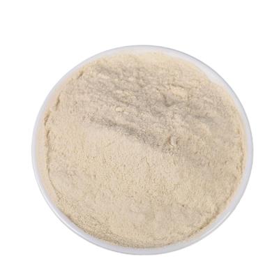 China Good Price High Quality White Onion Dehydrated Dry Dehydrated Vegetable Powder for sale