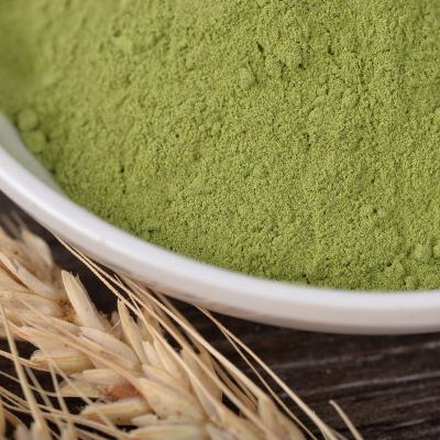 China High Quality Organic Dried Spinach Powder with Good Price for sale