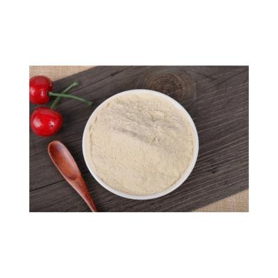 China Good price of economic and reliable pure natural chinese white onion powder 80-100mesh good quality for sale