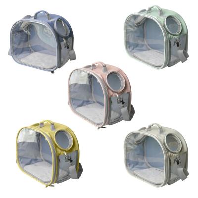 China Sustainable Upgraded Portable Guinea Pig Carriers, Transparent Hamster Carrying Case for sale