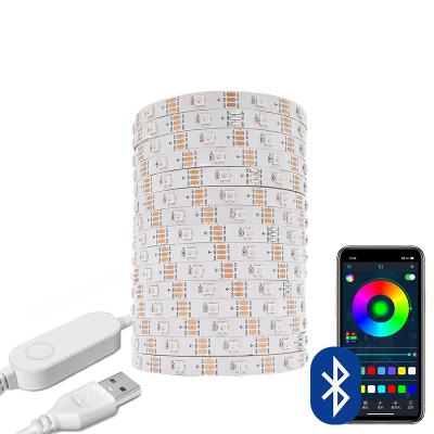 China Hotel Pixels LED Strip Light 3.2-16.4ft 18LEDs/M Bluetooth WS2812B 5050 SMD Accessible DC 5V USB RGB Flexible Lights for sale