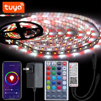 China Garden Smart WiFi 5Pin RGBW LED Strip Controller 600LEDs 10m Waterproof Flexible Light +32Keys Remote Control Work with Alexa, Google for sale