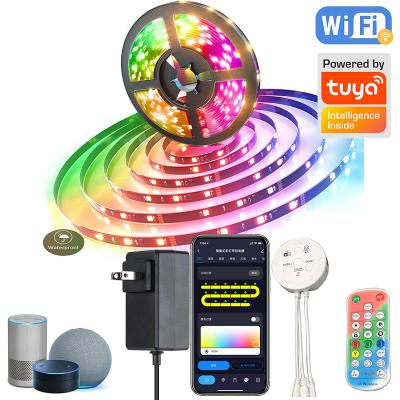 China Office TUYA WIFI APP Control 65.6FT/20M Ultra Long Dream Color WS2811 LED Light, RGBIC IR LED Strip Lights Voice Remote Control for sale