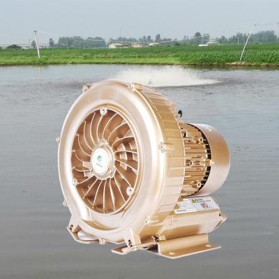 China Regenerative Fish Pond Aerator Fish Pond Oxygen Pump Fish Farm Aeration Roots Fan for Aquaculture for sale