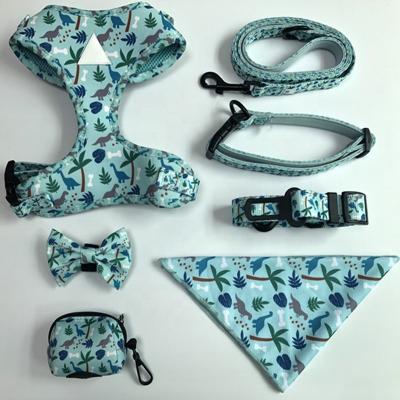 China Lights Support Drop Shipping Dog Set Collar Leash Harness Private Label Sensitive Appearance Dog Harness for sale