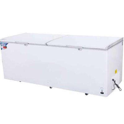 China Large Capacity Single-temperature Commercial Freezer Energy Saving for sale