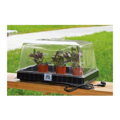 China Plastic Black Heated Propagator Seeding Plant Tray for sale