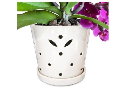 China Modern Ceramic Orchid Pot With Holes, Small Decorative Flower Pot With Drainage Hole And Saucer for sale