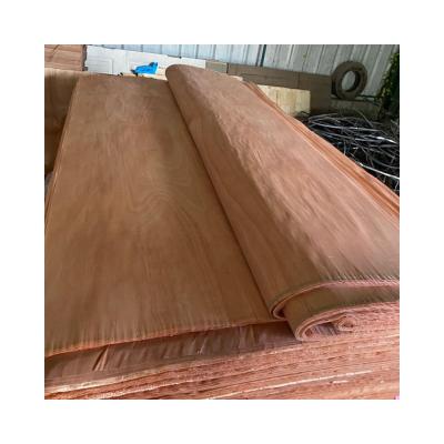 China factory direct cheap price traditional thailand gurjan face veneer / face keruing veneer for sale