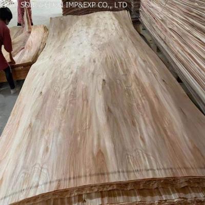 China Factory Direct Selling PQ Soft 0.25mm Soft Face Veneer For Laminate For Plywood for sale