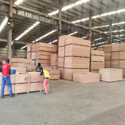 China Gabon Plywood Factory 100% Traditional Commercial Okoume Plywood Full for sale