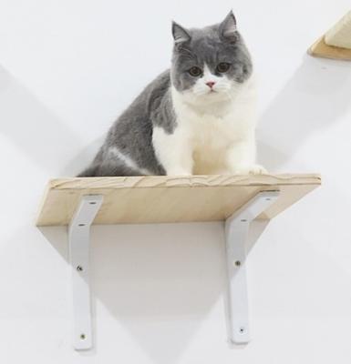 China Sustainable Custom Wooden Cat Jumping Platform Wall-mounted Cat Hammock Bed Wall Shelves Furniture Sleeping Hammock For Indoor Cats for sale