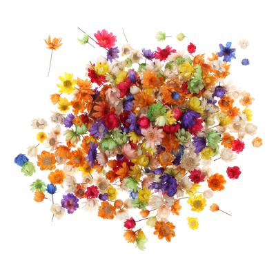 China 200pc Dry Flower Petals Flower Petals Real Dry Flowers For Diy Art Craft Epoxy Resin Candle Making Jewelry Home Party Decorative Press Dry Flowers for sale