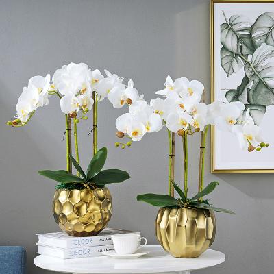 China Green High End Artificial Environmental Protection Real Touch Orchid Flower Plant With Gold Pot For Hotel Garden Showroom Shop Home Decoration for sale