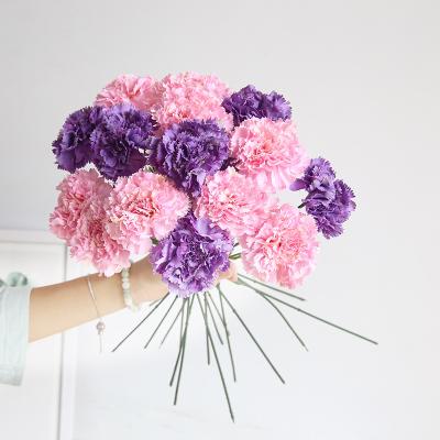 China Natual Touch & eco-friendly & fashional FREE SAMPLE artificial carnation flower wholesale decorative mother's day for sale