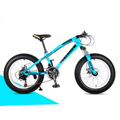 China Double Disc Brake High Carbon Steel Adult Beach Snow Bicycle Variable Speed ​​Bicycle for sale