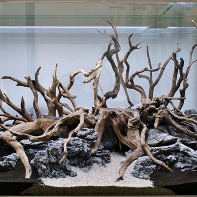 China SHANDA Natural Roots Aquarium Accessories Viable Decoration Fish Tank for sale