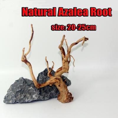 China Viable Accessories Fish Tank Natural Azalea Root SHANDA Root Decoration For Plant for sale