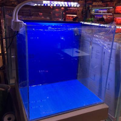 China SHANDA Aquarium Curve /Square Mini Viable Tank Aquarium for sale