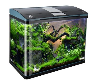 China SHANDA Aquarium Viable TANK AQUARIUMS Accessories Aquarium Tank Contact Glass Tank for sale