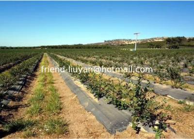 China Cobre de solo de polipropileno tecido de 100 cm para proteção do solo tratado com UV à venda