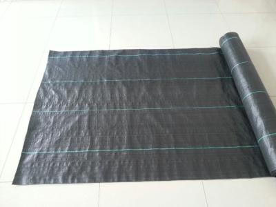 China Tejido de control de malezas de color negro, cubierta de suelo, tejido de PP, 2m x 100m/rollo en venta