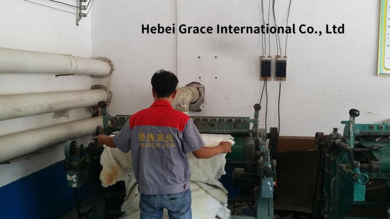 Verified China supplier - Hebei Grace International Co., Ltd.