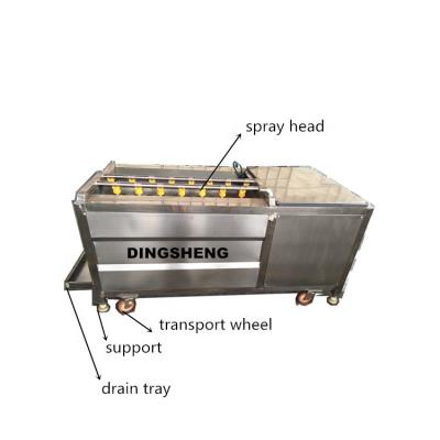 China Vegetable Cleaning And Peeling Machine  Fruit Roll Cleaning Machine for sale