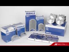 Mahle parts