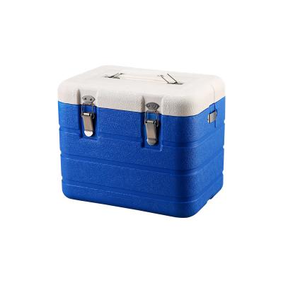 China 6L Mini Portable Freezer Box Rectangle Cool Box For Vegetables for sale