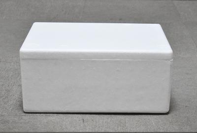 China 20 Litre White Polystyrene Foam Box Beverages Transportation for sale