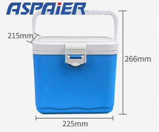 China EPS 4.5 Liters Mini Portable Freezer Box For Food or Drink for sale