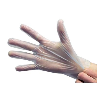 China 100% Biodegradable and Compostable Eco Friendly Sustainable Packaging Eco Disposable Gloves for sale