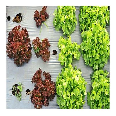 China Reduce pests and diseases customize color manufacture high quality biodegradable and compostable PLA PBAT mulch film for agriculture for sale