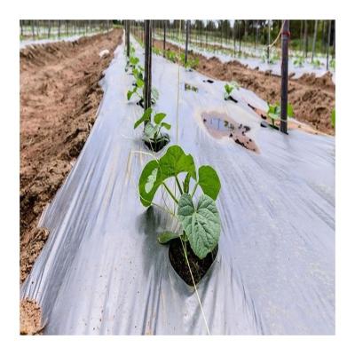 China Reduce Pests and Diseases Competitive Price Manufacturing 100% Eco-friendly PLA PBAT Mulching Film For Garden Agriculture for sale