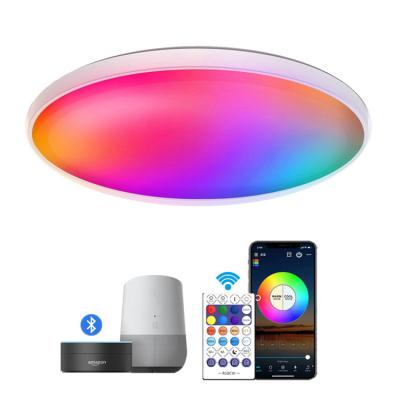 China Hot Selling Amazon WiFi RGBW Alexa Voice App 30W RGB Outdoor Mounted Smart Remote Control Modern Ceiling Light for sale