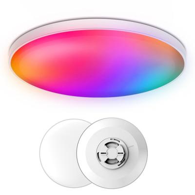 China Modern RGB Colorful Light Fancy Lights For Home Adjust Brightness 16 Million Colors Smart Ceiling Light for sale