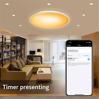 China Modern Creative LED Lights For Decoration Designer Light Voice Control 30W Ceiling Lamp for sale