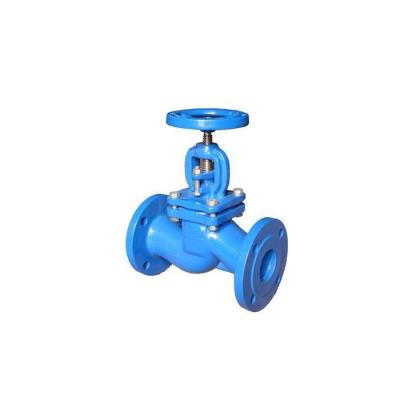 China General Cast Iron Steam Bellow Seal Water Control Valve Delicate Appearance Angle Globe Valve Price for sale