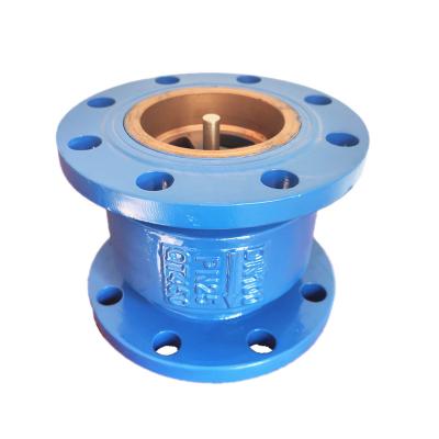 China DN50-300mm General Cast Iron Standard Flange Ends Non Return DI Silent Check Valve Price for sale