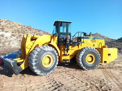 Chine BEM998-42T Mighty quarry Loader With 42000kg Capacity and 3200mm Lifting Height à vendre