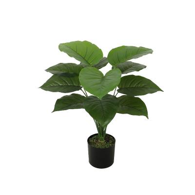 China 50cm Height Monstera Plant Realistic Artificial Plastic Plant Tree Home Decor for sale