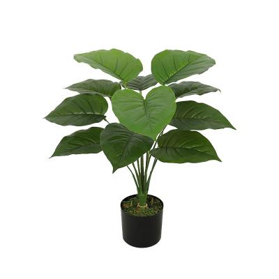 China Realistic Bonsai Plant Indoor Tree, Artificial Plant 12 Branches Table Home Decor 50cm Evergreen Plant for sale