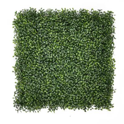 China Art Decor HB0600 Indoor and Outdoor High Quality Green Boxwood Decoration 50*50cm Leaves Artificial Grass Wall for sale