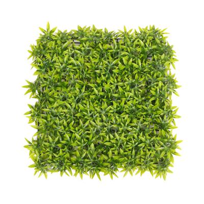 China HB0616G CLASSIC Popular Style Garden Decor Plastic Artificial Grass Wall for sale