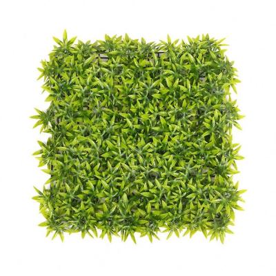 China Traditional HB0616G artificial moss green wall for the vertical green wall decoration for sale