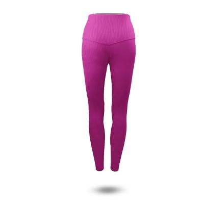 China HOSTARON Logo New Women Leggings Breathable Custom High Waist Yoga Pants Running Fitness Training Pants for sale