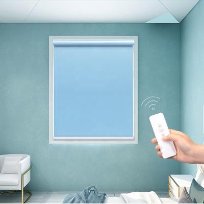 China French Door Roller Blind Sunscreen Motorized Roller Blinds For Window for sale